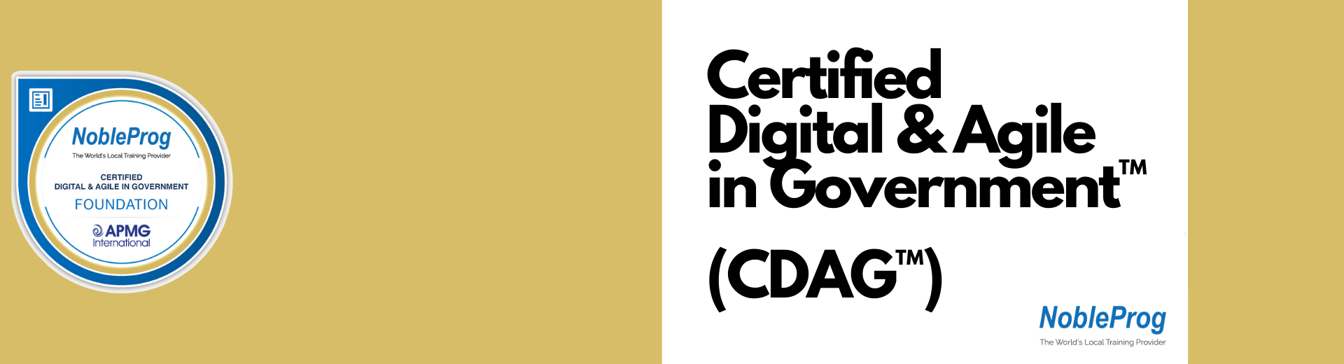 Certified Digital & Agile in Government™ (CDAG™) Foundation